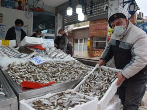 Sinoplu Balıkçılar Bu Sezon Umduğunu Bulamadı