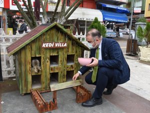 Kediler İçin Villa Yaptılar, Şehrin Çeşitli Noktalarına Yerleştirdiler