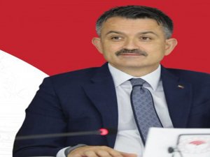 Bakan Pakdemirli Duyurdu, Su Ürünleri Yetiştiricilerine Destek Ödemesi Bugün Başlıyor