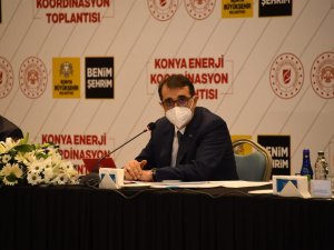 Bakan Dönmez: “Elektrik Ve Doğal Gazda Yatırım Hedefimiz 612 Milyon Lira”