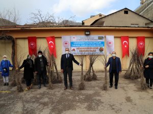 Gümüşhane’de Kadın Çiftçilere Dikensiz Kuşburnu Fidanı Dağıtıldı