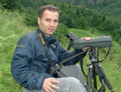 Ayılar Yaşam Alanları Azaldığı İçin İnsanlara Saldırıyor