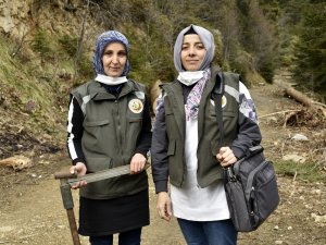 Ellerinin Hamuruyla Ormanları Koruyorlar