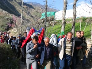 Şırnak’ta Unutulmaya Yüz Tutan Gelenek Yaşatılıyor: Gelini Ata Bindirip Damat Evine Götürdüler