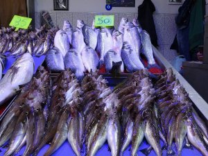 Balık Av Sezonunda Sona Doğru