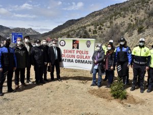 Gümüşhane’de Polis Haftası Kapsamında Fidan Dikildi, Lokma Dağıtıldı
