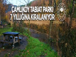 Çamlıköy Tabiat Parkı yedi yıl süreyle kiraya verilecek