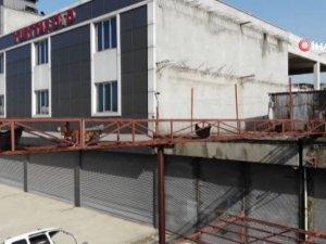 Tavukları İçin Üst Geçit Yaptı