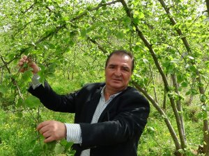 Fındık İhracatının Yüzde 85’i Ab Ülkelerine