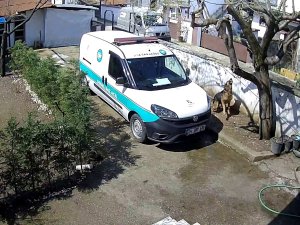 Sakarya’da Trajikomik Olay