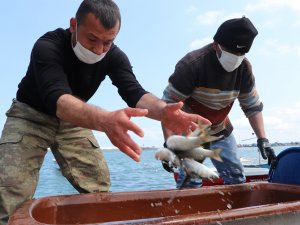 Balık Sezonuna İklim Değişikliği Etkisi