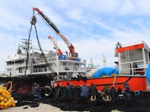 Balık Av Sezonu Bitince Gelecek Sezon İçin Ağları Bakıma Aldılar