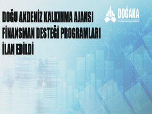 Doğu Akdeniz Kalkınma Ajansı Finansman Desteği Programları İlanı