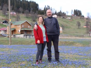 Mor Yayla’nın Mavi Yıldız Çiçekleri Açtı
