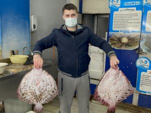 Karadeniz’de Kalkan Balığı Bereketi: Kilosu 200 Tl