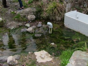 Artvin’de Kaderine Terk Edilmiş Tarihi Kaplıca İlgi Bekliyor