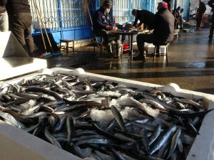 Trabzon’da Son 7 Yıldaki Balık Miktarı 40 Milyon Kilograma Yaklaştı