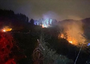 Rize'de Çıkan Orman Yangını Söndürüldü