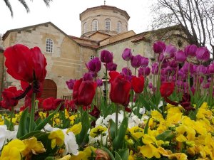 Trabzon’daki Ayasofya Camii Laleler İle Bir Başka Güzel