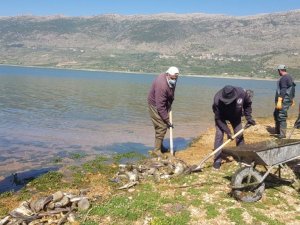 Lübnan’da Tonlarca Sazan Balığı Telef Oldu