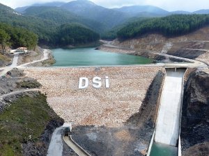 Dsi, Kalıcı Bir Çözüm İçin Düğmeye Bastı