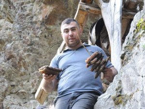 Önce Yatağına Yatmış Sonra Kovanlarını Parçalamış