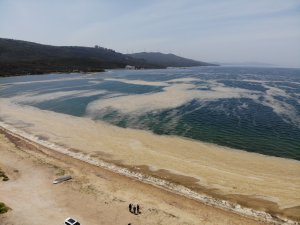 Marmara’da Denizin Dibi Zindana Döndü