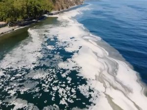 Kabus Büyüyor: Marmara’yı Salya Kapladı