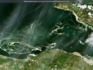 Marmara Denizini Saran Deniz Salyaları Uydudan Bile Görüldü
