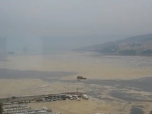 Gemlik Körfezinde Salya İstilası