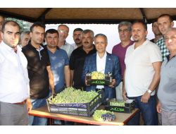 Yaş Üzümde Destek Primi İki Kat Arttı