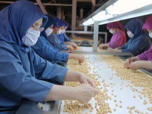 Fiskobirlik, Pandemiye Rağmen İhracatta Hız Kesmedi