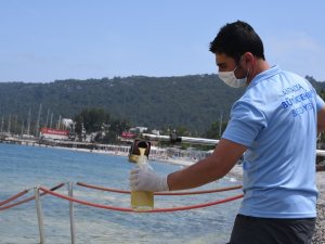 Deniz Yüzeyindeki Sarı Tabakanın Nedeni Belli Oldu