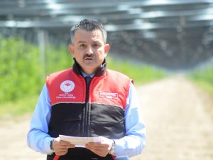 Bakan Pakdemirli’den Çiftçiye Bayram Müjdesi