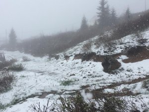 Doğu Karadeniz’de Mayıs’ta Yaylalarda Kar Süprizi