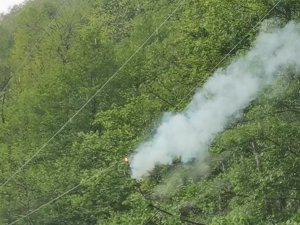 Artvin’de Şiddetli Rüzgar Ağaçları Devirdi