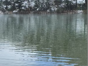 Limni Gölü Tabiat Parkı’ndan Eşsiz Görüntüler