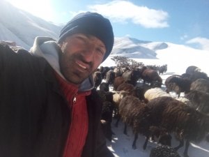 Yaylada Sürü Sahiplerine Kar Sürpriz