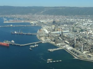 Balıkçıların Korkulu Rüyası İzmit Körfezi’ni Büyük Oranda Terk Etti