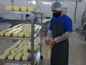 Karadeniz’in Mıhlama Peynir İhtiyacı Muş’tan
