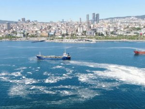 İstanbul Sahillerini İstila Eden Deniz Salyalarında Yoğunluk Arttı