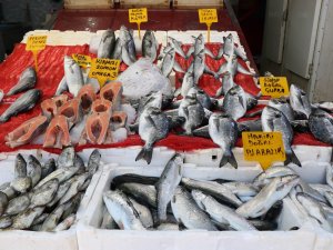 Balık Satışları Azaldı Fiyatlar Düştü