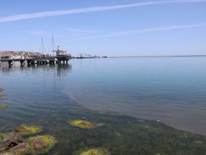 Samsun Limanı’nda Tedirgin Eden Kirlilik: Gözler Gemilerde