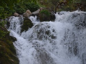 Her Yıl Ziyaretçi Akınına Uğruyordu, Salgın Nedeniyle Bu Yıl Boş Kaldı
