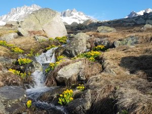 Macahel’de Eriyen Karlar Kartpostallık Görüntüler Oluşturdu