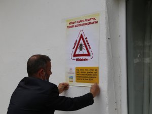 Artvin’de Kene Vakaları Artmaya Devam Ediyor