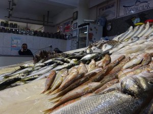 Bayram Sonrası Kıyı Balıkçıları Da Balıkçı Esnafının Derdine Derman Olmadı
