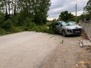 Sağanak Yağış Sonrasında Aracın Üzerine Ağaç Devrildi