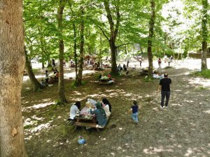 İstanbullular Belgrad Ormanı’na Akın Etti
