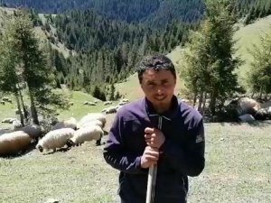 Çobanların Yün Çağrısı